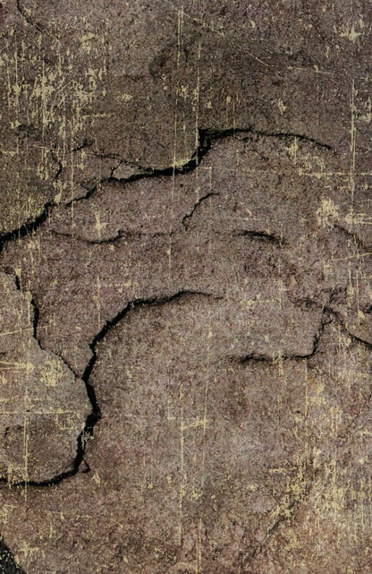 In a protracted struggle / В затяжній боротьбі Степан Мечник 978-611-01-1499-8-2