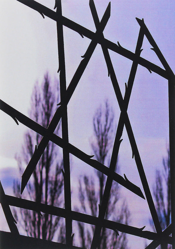 In the clutches of Nazi tyrants. Memoirs of a prisoner 11961 / В кігтях нацистських тиранів. Спогади в'язня 11961 Иван Стасив 978-611-01-2020-3-2