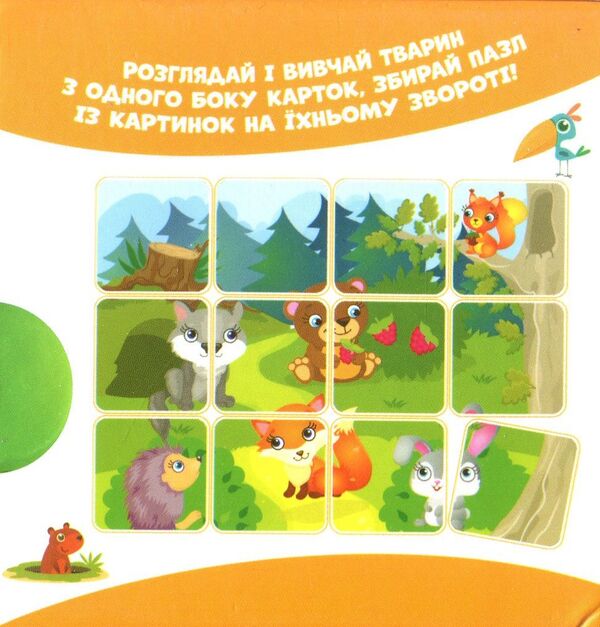 In the forest. Animals on cards / У лісі. Тварини на картках  -2