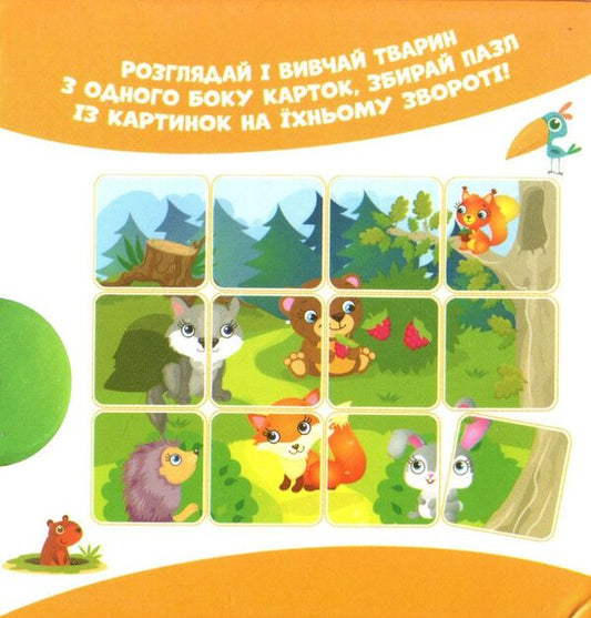 In the forest. Animals on cards / У лісі. Тварини на картках  -2