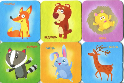 In the forest. Animals on cards / У лісі. Тварини на картках  -3