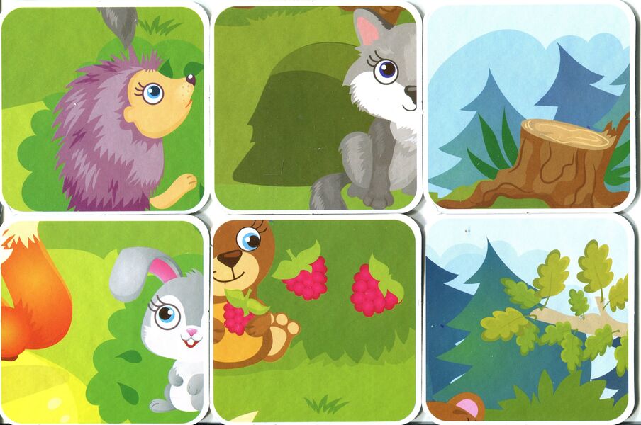 In the forest. Animals on cards / У лісі. Тварини на картках  -4