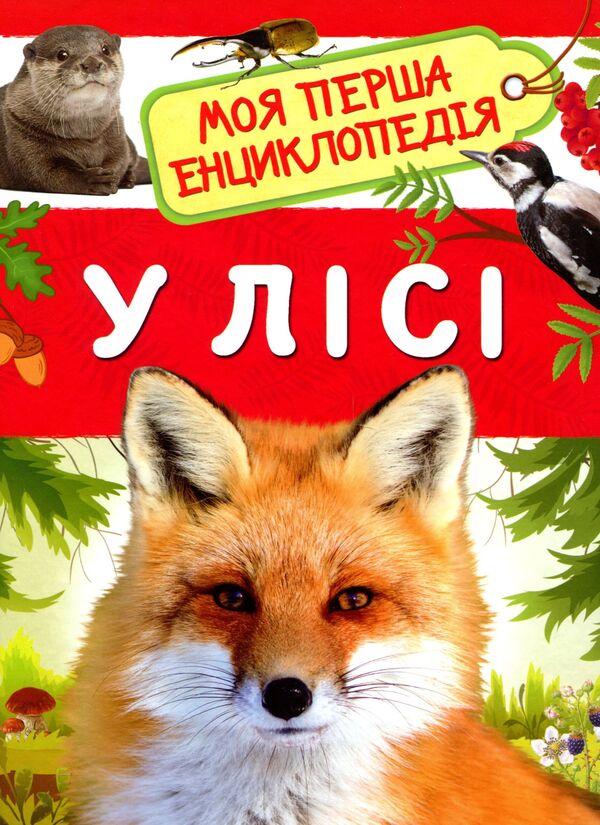 In the forest. My first encyclopedia / У лісі. Моя перша енциклопедія Лариса Клюшник 978-966-98504-4-7-1