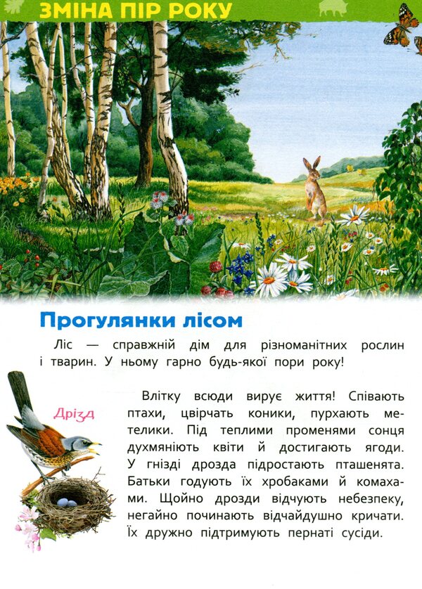 In the forest. My first encyclopedia / У лісі. Моя перша енциклопедія Лариса Клюшник 978-966-98504-4-7-3