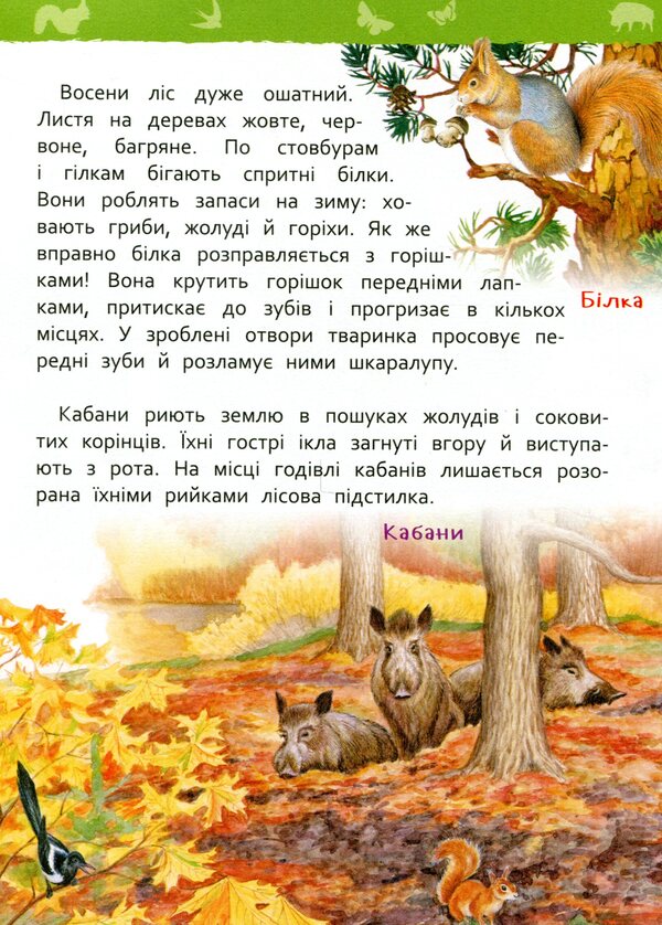 In the forest. My first encyclopedia / У лісі. Моя перша енциклопедія Лариса Клюшник 978-966-98504-4-7-4