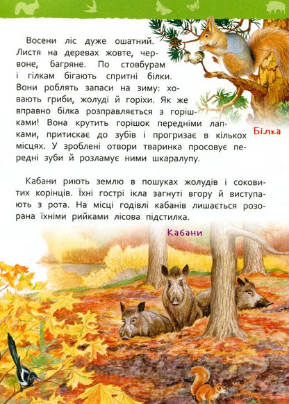 In the forest. My first encyclopedia / У лісі. Моя перша енциклопедія Лариса Клюшник 978-966-98504-4-7-4