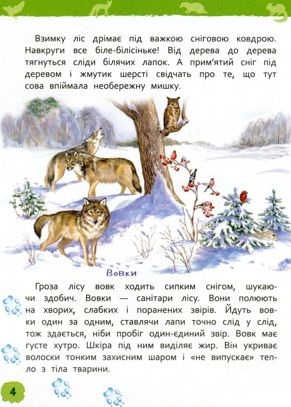 In the forest. My first encyclopedia / У лісі. Моя перша енциклопедія Лариса Клюшник 978-966-98504-4-7-5
