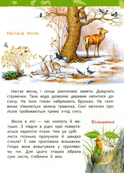 In the forest. My first encyclopedia / У лісі. Моя перша енциклопедія Лариса Клюшник 978-966-98504-4-7-6