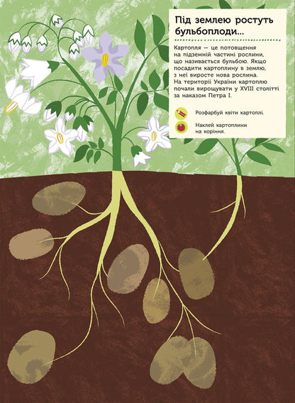 In the garden / На городі Оливия Косно 978-617-09-4099-5-3