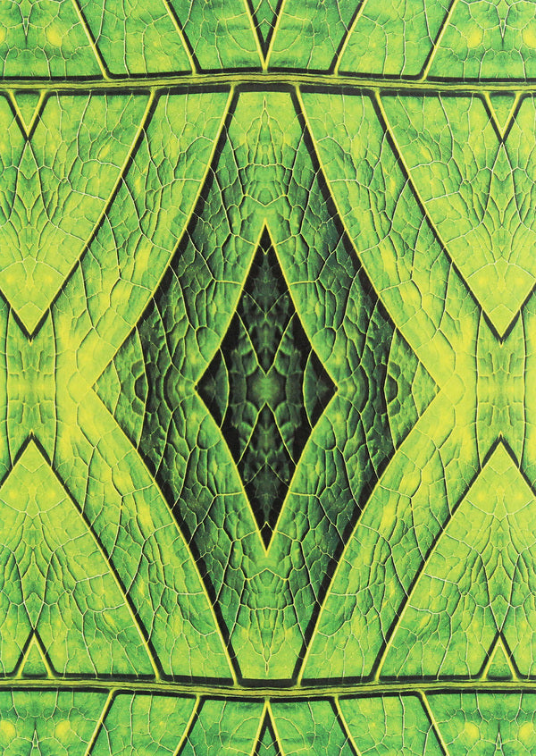 In the whirlpool of multiculturalism. Participant's memories / У вирі багатокультурності. Спогади учасника Яр Славутич 978-611-01-1907-8-2