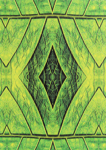 In the whirlpool of multiculturalism. Participant's memories / У вирі багатокультурності. Спогади учасника Яр Славутич 978-611-01-1907-8-2