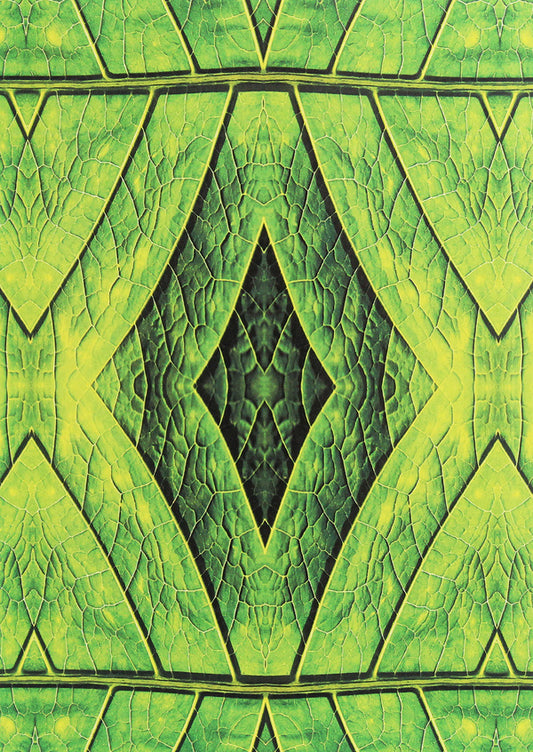 In the whirlpool of multiculturalism. Participant's memories / У вирі багатокультурності. Спогади учасника Яр Славутич 978-611-01-1907-8-2