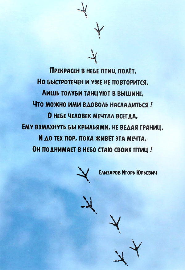 In the world of people and pigeons / В мире людей и голубей Александр Винюков 978-966-924-054-5-2