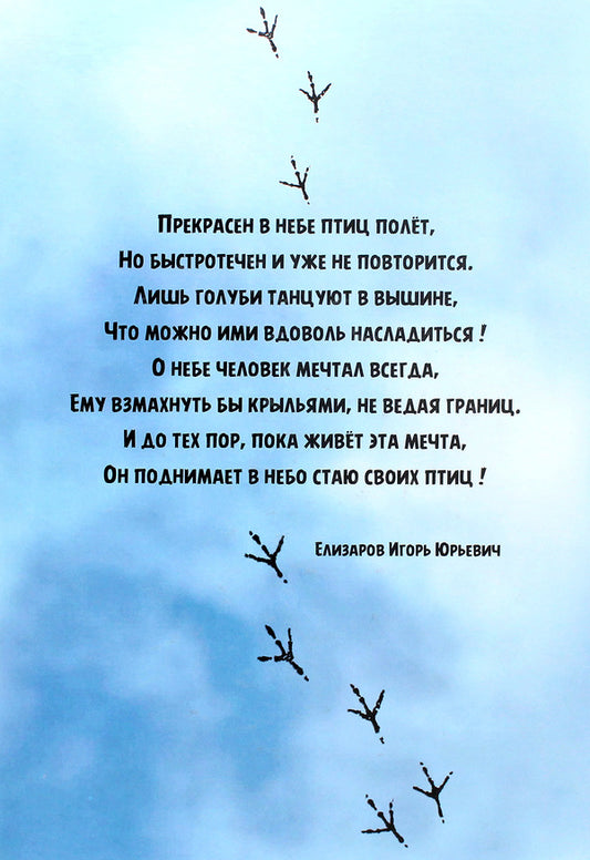 In the world of people and pigeons / В мире людей и голубей Александр Винюков 978-966-924-054-5-2