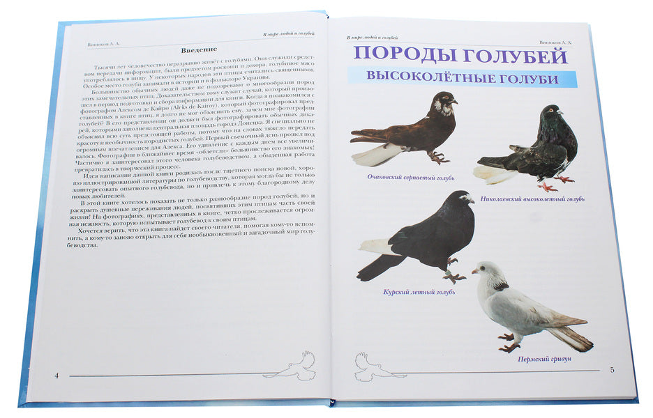 In the world of people and pigeons / В мире людей и голубей Александр Винюков 978-966-924-054-5-4
