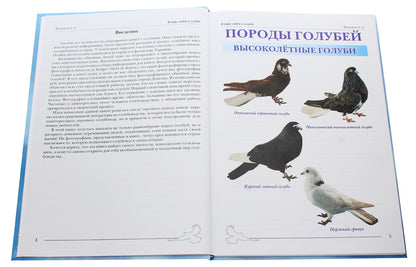 In the world of people and pigeons / В мире людей и голубей Александр Винюков 978-966-924-054-5-4