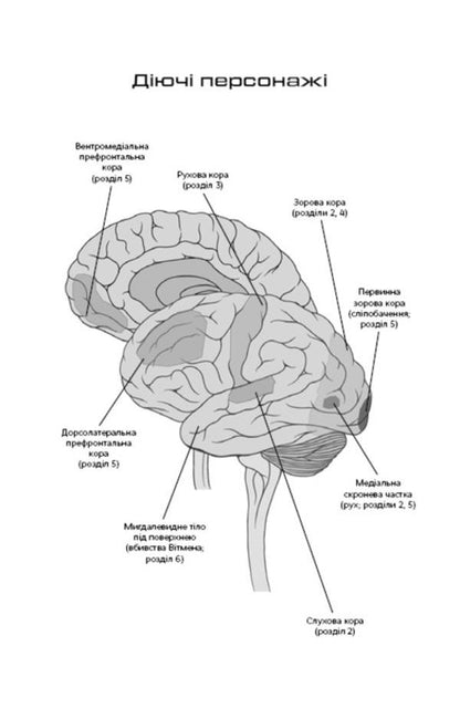 Incognito. The Secret Life Of The Brain / Інкогніто. Таємне життя мозку David Eagleman / Девід Ігл 9789669937278-5
