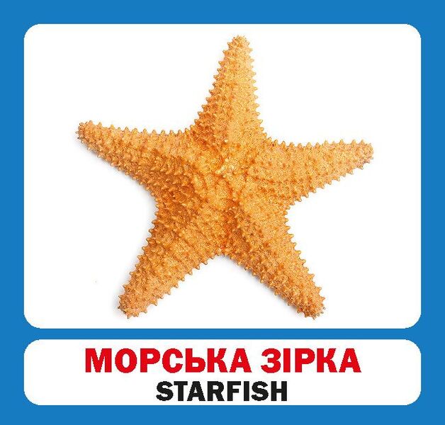 Inhabitants Of Seas And Oceans / Marine Animals. Set Of Cards / Мешканці морів і океанів / Marine animals. Набір карток / Author not specified 9786177360529-3
