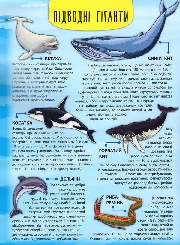 Inhabitants of seas and oceans / Мешканці морів та океанів Екатерина Смирнова 978-966-284-501-3-6