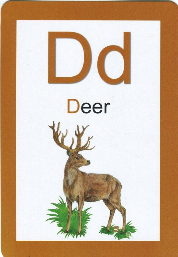 Initial cards Zhiva Abetka ABC for learning English language with augmented reality and 4D sound / Навчальні картки Жива Абетка ABC для вивчення англійської мови з доповненою реальністю та звуком 4D  9786178237493-6