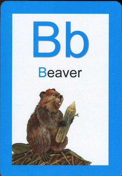 Initial cards Zhiva Abetka ABC for learning English language with augmented reality and 4D sound / Навчальні картки Жива Абетка ABC для вивчення англійської мови з доповненою реальністю та звуком 4D  9786178237493-5