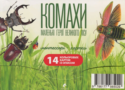 Insects. Little Heroes Of The Big Forest. Montessori Cards / Комахи. Маленькі герої великого лісу. Монтессорі-картки / Author not specified 9786177985029-1