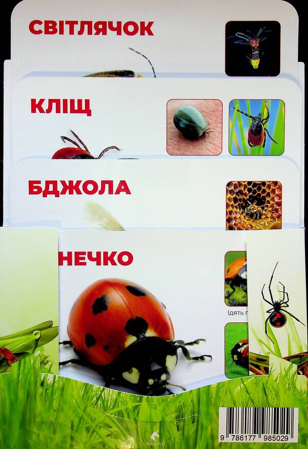 Insects. Little Heroes Of The Big Forest. Montessori Cards / Комахи. Маленькі герої великого лісу. Монтессорі-картки / Author not specified 9786177985029-3