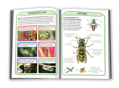 Insects50 most famous species: Mini-encyclopedia / Комахи. 50 найвідоміших видів: Міні-енциклопедія  978-966-948-292-1-3