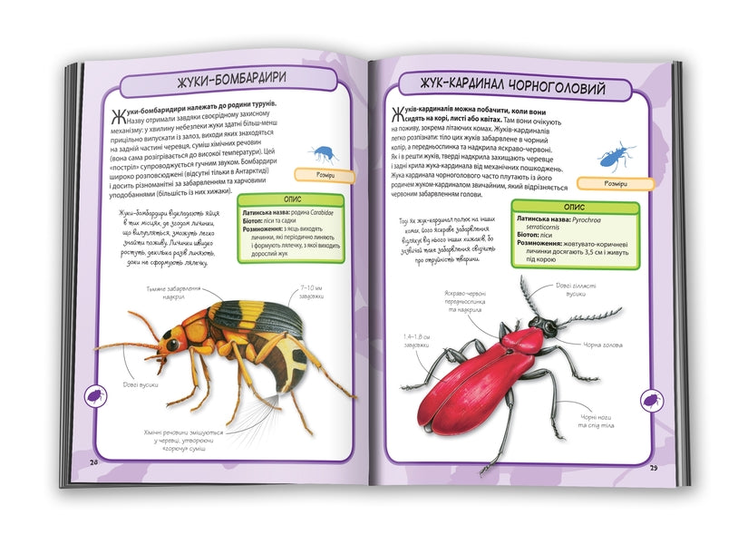 Insects50 most famous species: Mini-encyclopedia / Комахи. 50 найвідоміших видів: Міні-енциклопедія  978-966-948-292-1-4