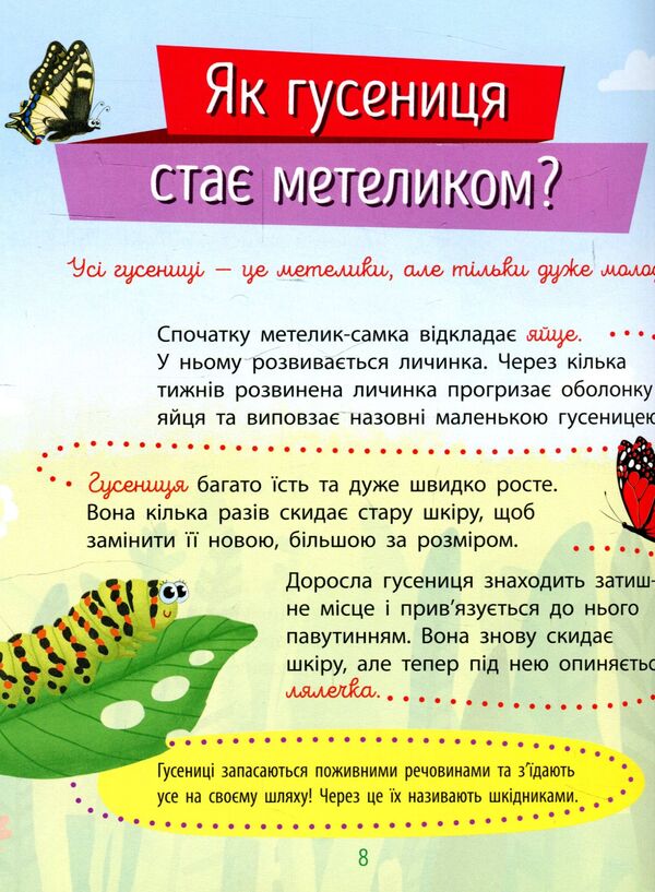 Insects / Комахи Анна Булгакова 978-617-09-3787-2-4