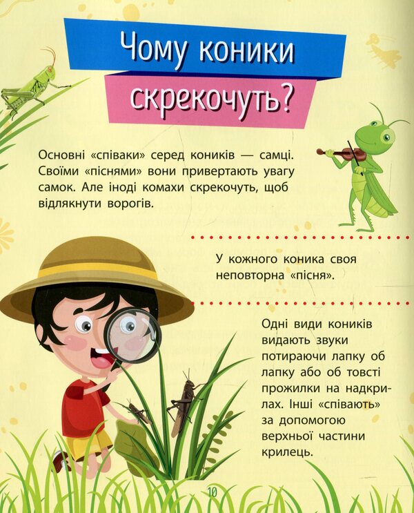 Insects / Комахи Анна Булгакова 978-617-09-3787-2-5