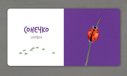Insects / Комахи Екатерина Таберко 978-617-7395-16-3-5