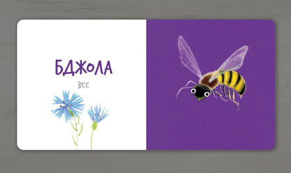 Insects / Комахи Екатерина Таберко 978-617-7395-16-3-6