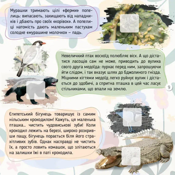Insects / Комахи Ekaterina Shapovalova / Екатерина Шаповалова 9789669892676-5
