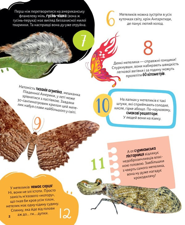 Insects 100 interesting facts / Комахи. 100 цікавих фактів Ольга Пилипенко 978-966-982-985-6-2