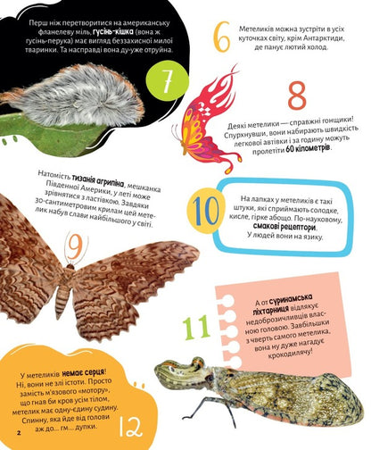 Insects 100 interesting facts / Комахи. 100 цікавих фактів Ольга Пилипенко 978-966-982-985-6-2