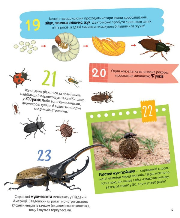Insects 100 interesting facts / Комахи. 100 цікавих фактів Ольга Пилипенко 978-966-982-985-6-5