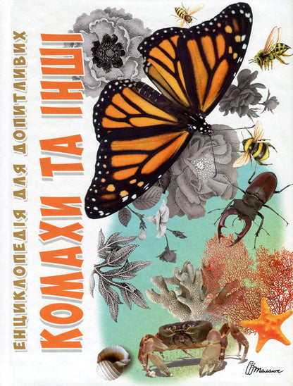 Insects And Others / Комахи та інші / Author not specified 9789669352385-1