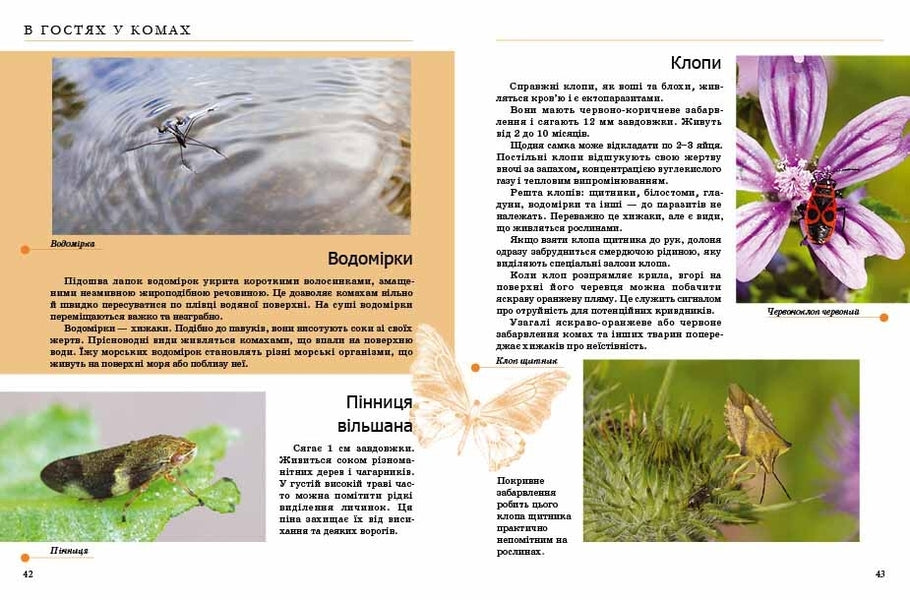 Insects And Others / Комахи та інші / Author not specified 9789669352385-3