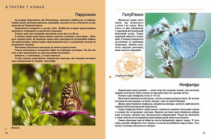 Insects And Others / Комахи та інші / Author not specified 9789669352385-5