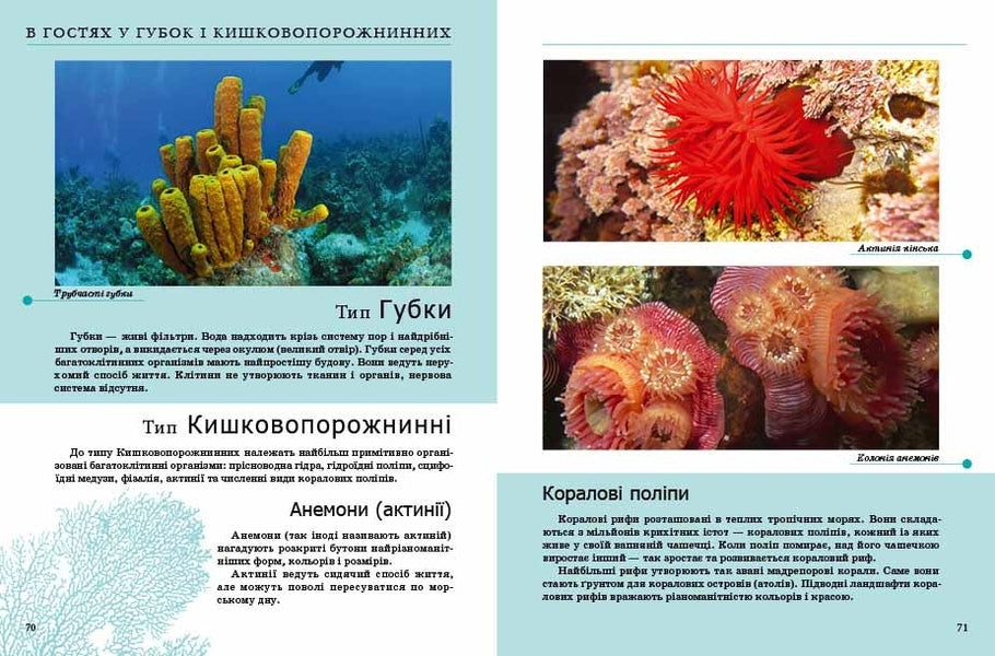Insects And Others / Комахи та інші / Author not specified 9789669352385-6