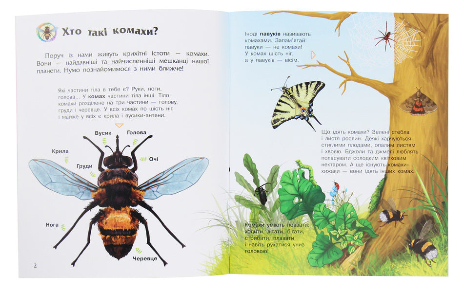 Insects Encyclopedia of a preschooler / Комахи. Енциклопедія дошкільника Юлия Каспарова 978-617-09-3729-2-3