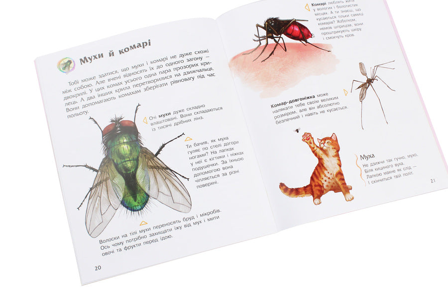 Insects Encyclopedia of a preschooler / Комахи. Енциклопедія дошкільника Юлия Каспарова 978-617-09-3729-2-6