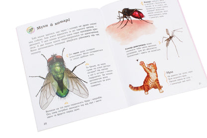 Insects Encyclopedia of a preschooler / Комахи. Енциклопедія дошкільника Юлия Каспарова 978-617-09-3729-2-6