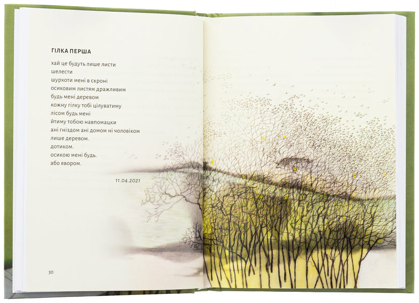 Instead Of Apples / Замість яблук Ivanna Skyba-Yakubova / Иванна Скиба-Якубова 9789664483473-5