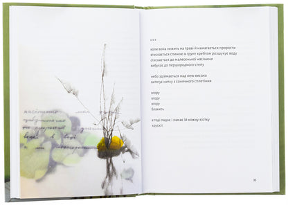 Instead Of Apples / Замість яблук Ivanna Skyba-Yakubova / Иванна Скиба-Якубова 9789664483473-6
