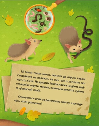 Interactive Detectives Detective Wuhan - Детективи з нтерактивом Детектив Вухань Mila Radchenko - Мла Радченко 9786178921965-5