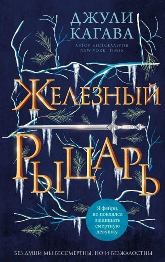 Iron Knight Book 4 - Железный рыцарь Книга 4 Julie Kagawa - Джули Кагава Does not apply-1