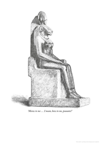 Is Your Cat A Psychopath? / Is Your Cat A Psychopath? Стивен Вилдиш 9781529149944-3