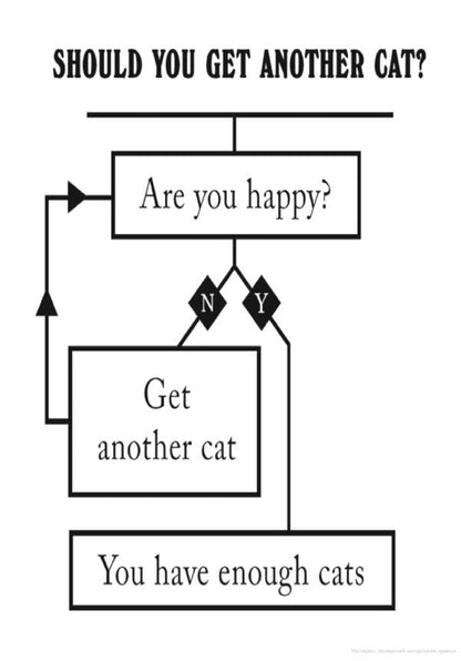 Is Your Cat A Psychopath? / Is Your Cat A Psychopath? Стивен Вилдиш 9781529149944-5